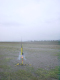 DSC09604