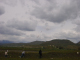 DSC09620