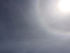 IMG_6967