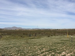 IMG_6972