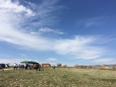 IMG_0045