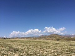 IMG_0149