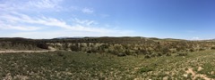 IMG_0162