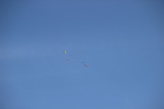 IMG_2590