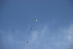 IMG_2591