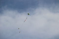 IMG_2592