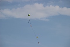 IMG_2594