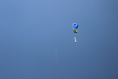 IMG_2629