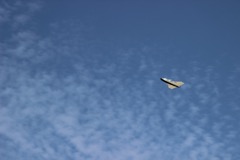 IMG_2521