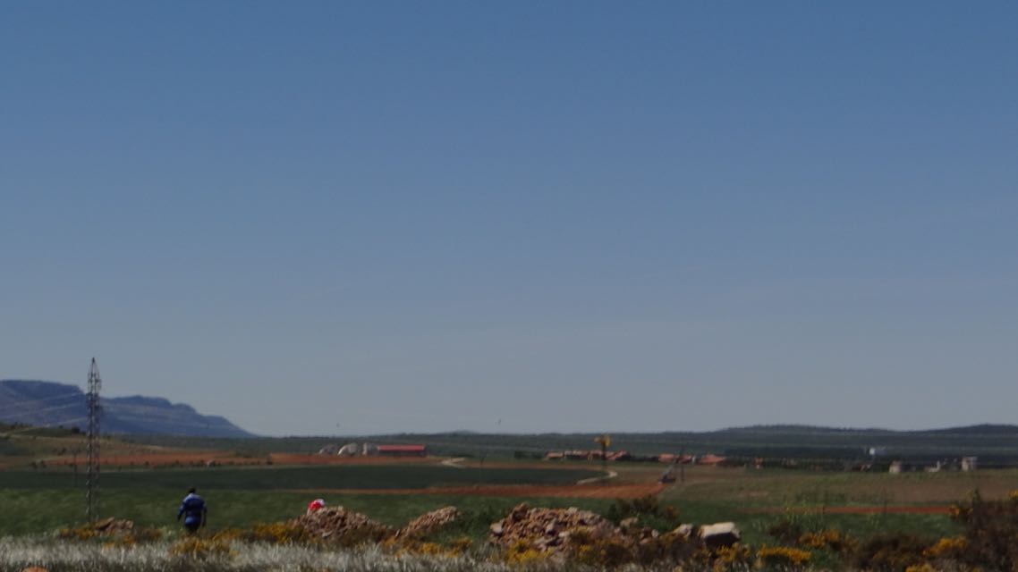 DSC08654
