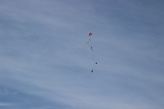 IMG_3449