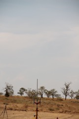 IMG_6950