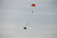IMG_7036