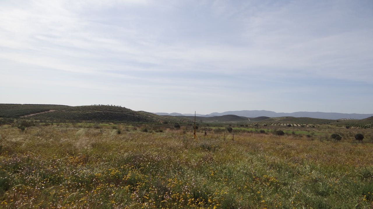 DSC00032