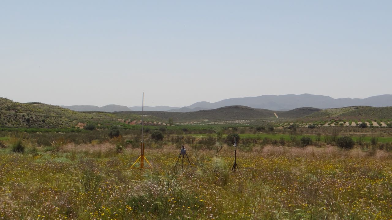 DSC00006