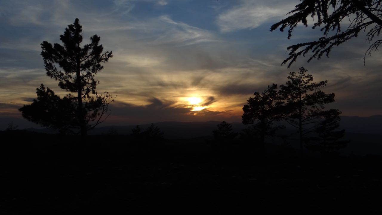 DSC00065