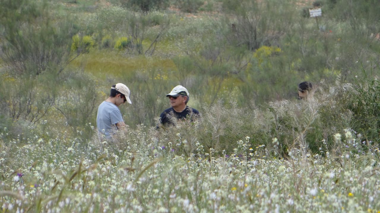 DSC00012