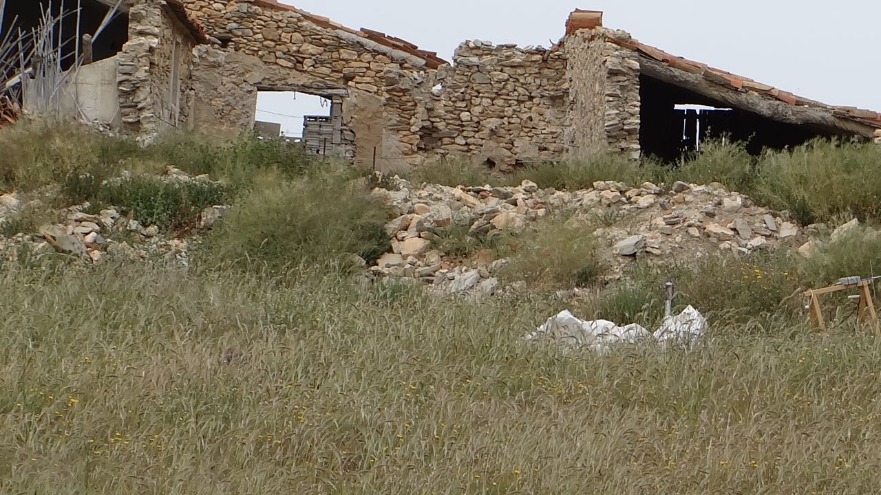 DSC00015