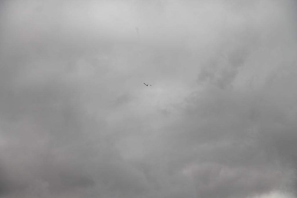 red_IMG_9459