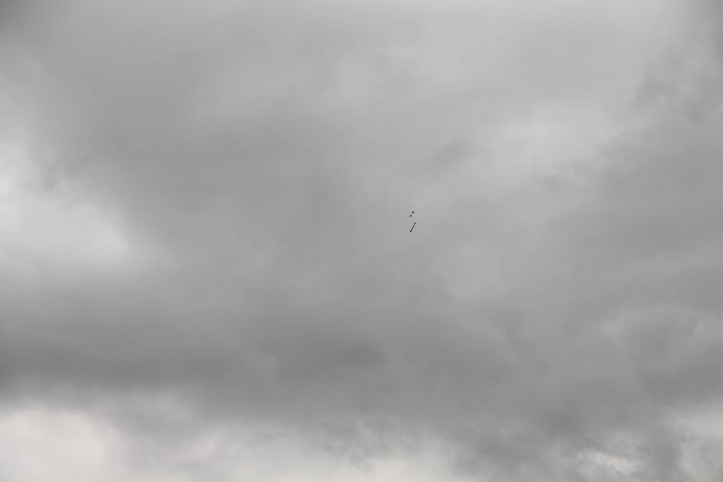 red_IMG_9460
