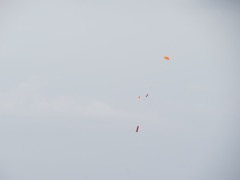 IMG_6179
