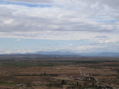 IMG_6193