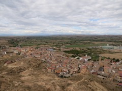 IMG_6195
