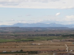 IMG_6196