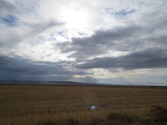 IMG_6205