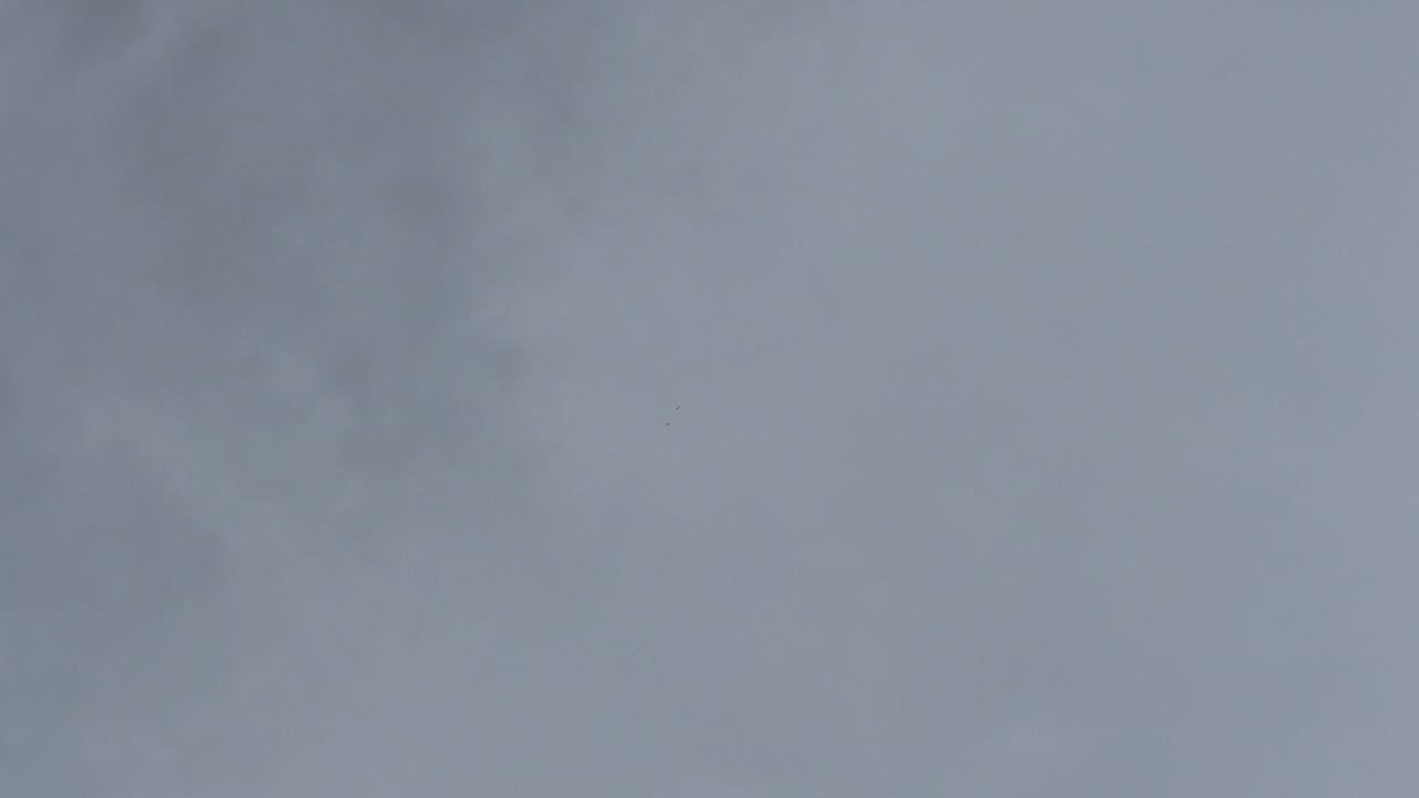P1050211