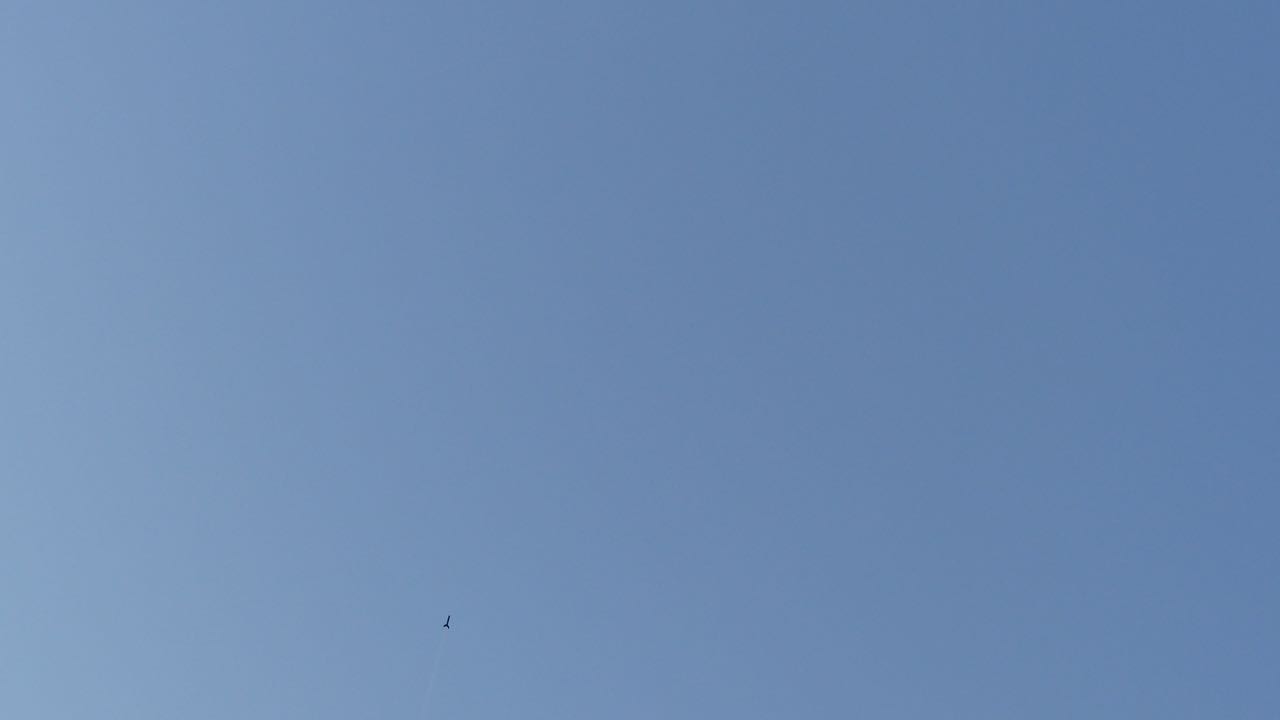 P1050131