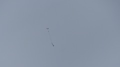 P1050183