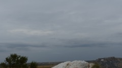 P1050217
