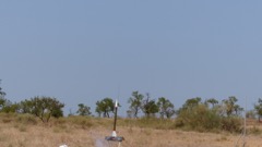 P1050002