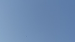 P1050131