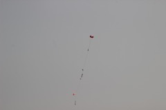 IMG_4260